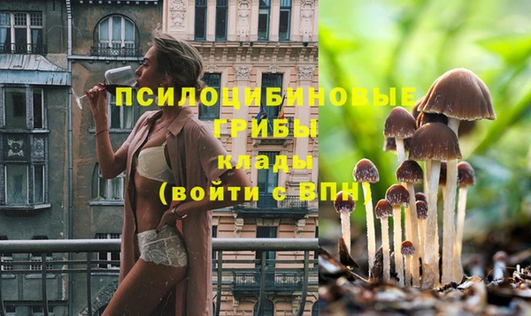 прущая мука Баксан