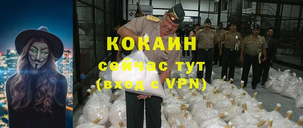 шишки Балахна