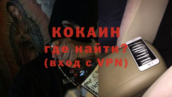 шишки Балахна