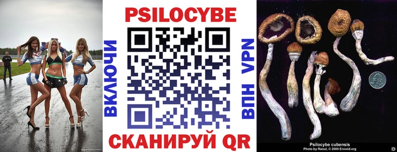 Галлюциногенные грибы прущие грибы  Белая Холуница 